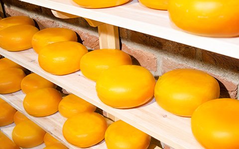Sector voedsel supplementen